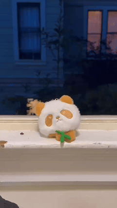 Dolly zoom animated GIF