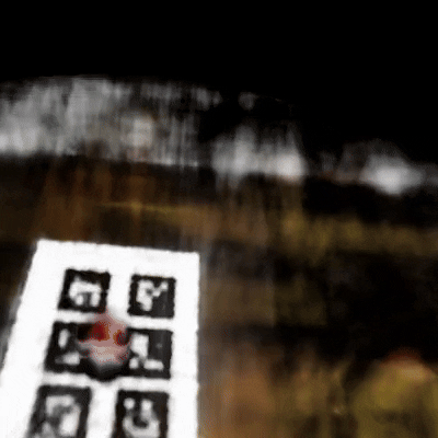 Novel views of my object